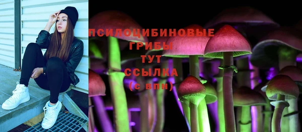 apvp Арсеньев