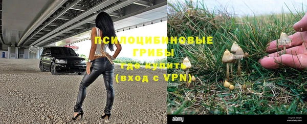 apvp Арсеньев