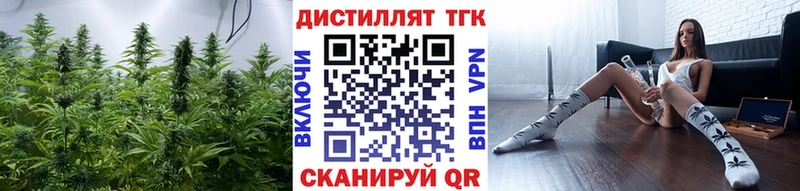Дистиллят ТГК Wax  Пыталово 